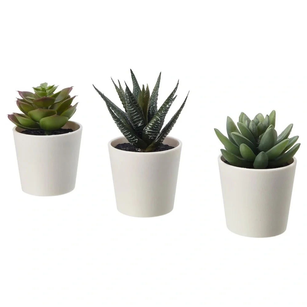 🪴3 PACK Succulent🪴 Artificial Potted Plant Succulent 3 Pack Home Decor Cactus